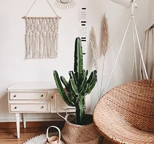 Boho